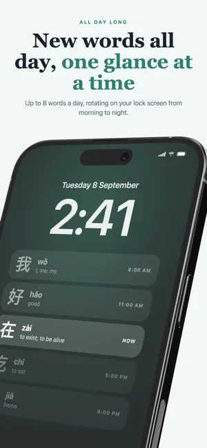 Daily Mandarin: Learn Chinese screenshot 2