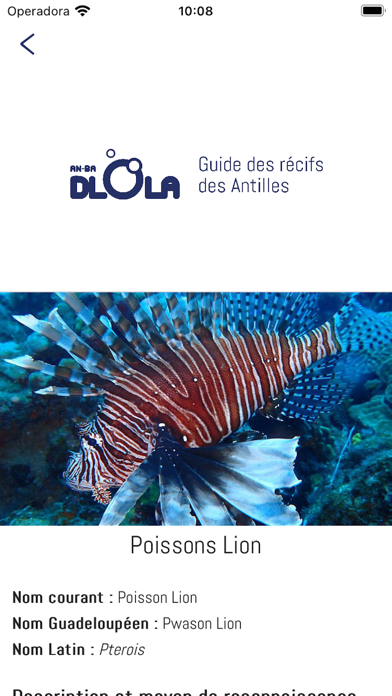 Guide des récifs des Antilles Screenshot