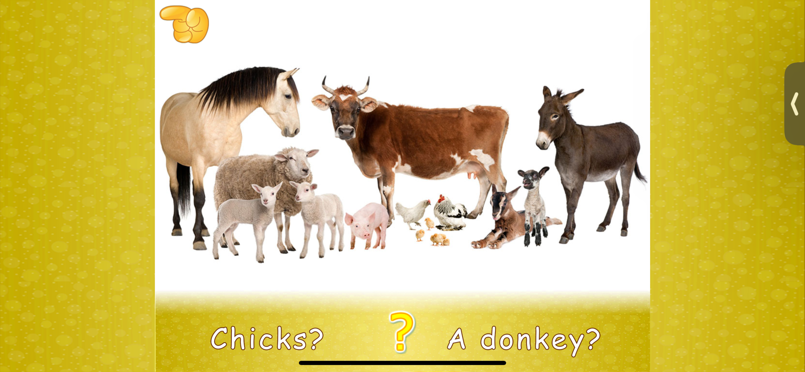 Animal picture games: for kids screenshot 5