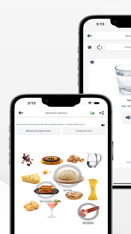 Invata Germana screenshot-4