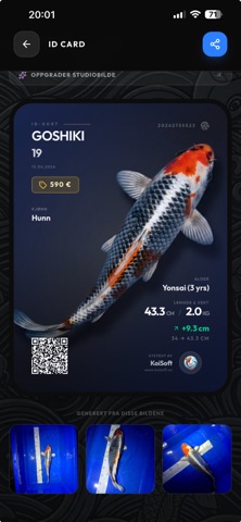 KoiApp Screenshot 4 of 9