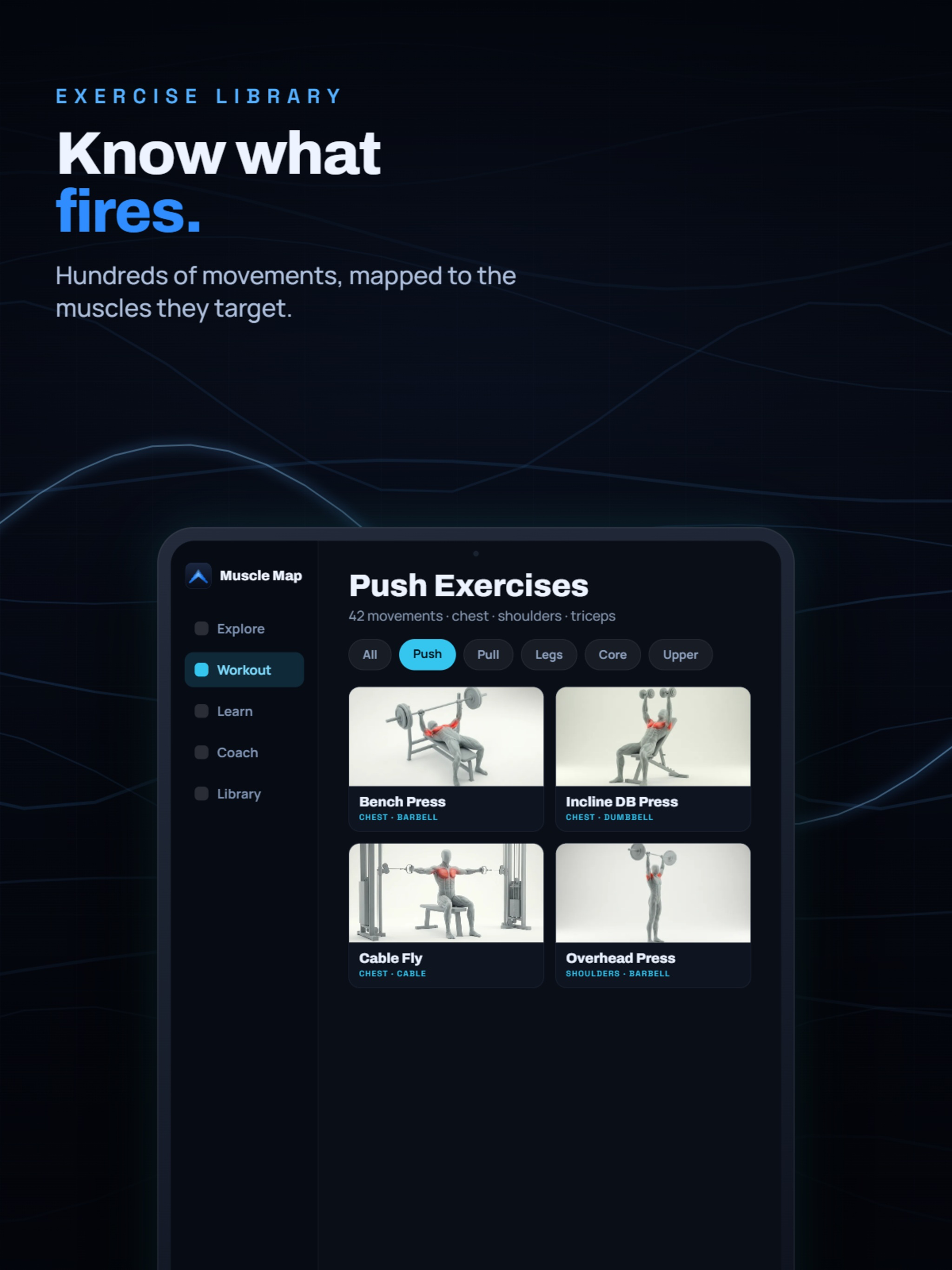 Muscle Map AI screenshot 12
