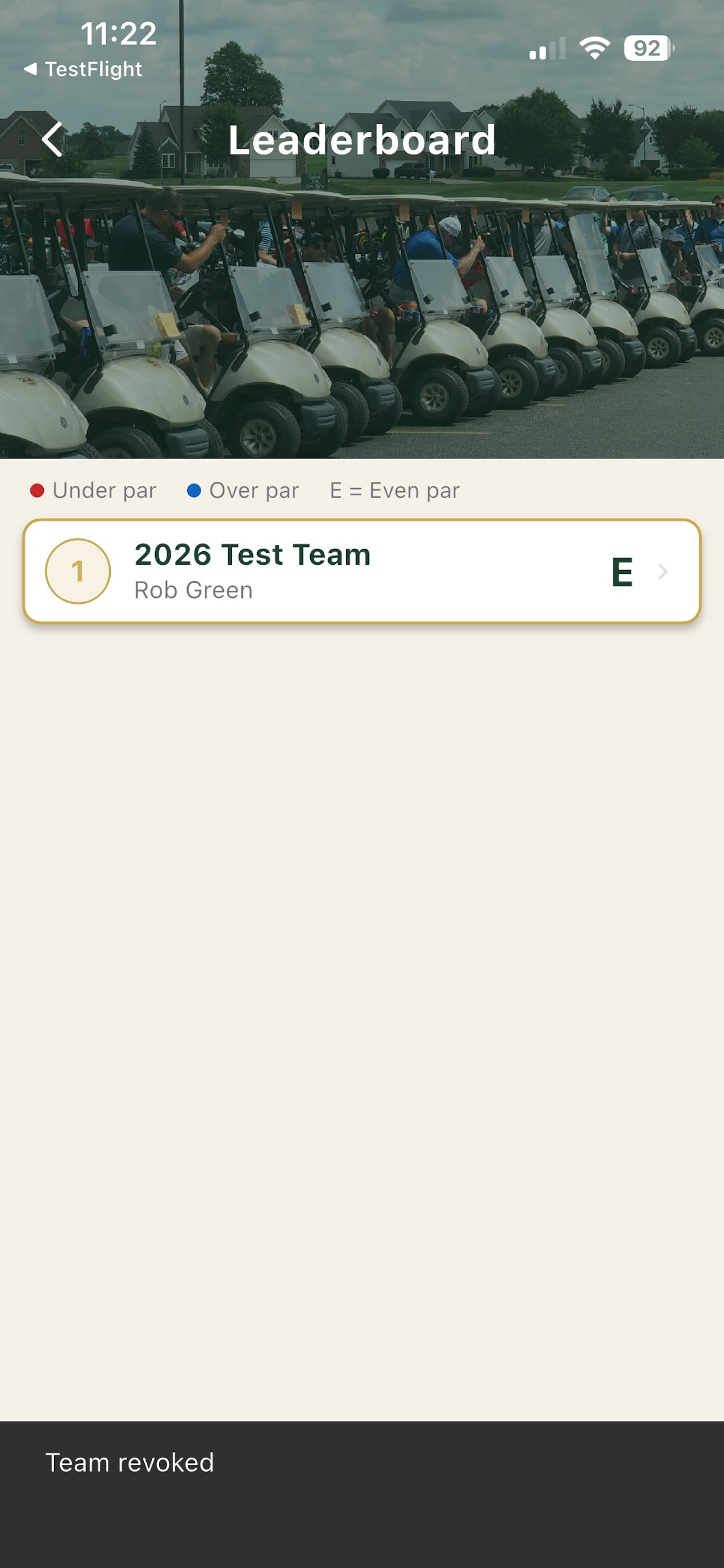 Townie Cup screenshot 3