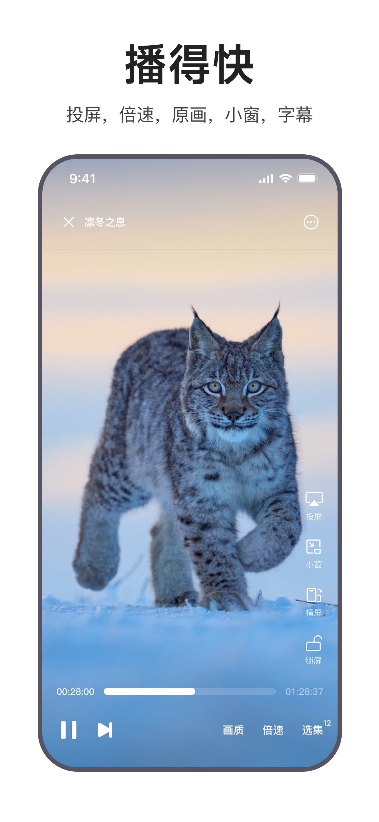 迅雷浏览器 截图 3