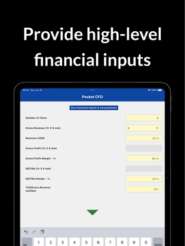 CFO in Your Pocket iPad screenshot