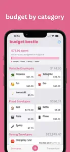 Budget Bestie screenshot #9 for iPhone