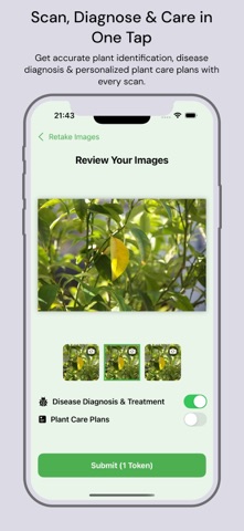 Plant identifier _ plant id screenshot