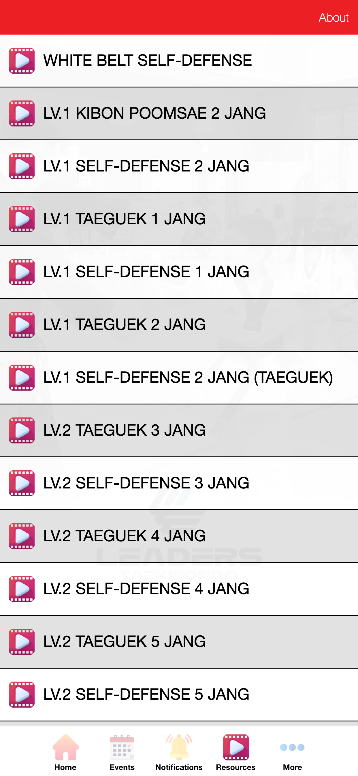 Leaders Tae Kwon Do Sugar Land screenshot 3
