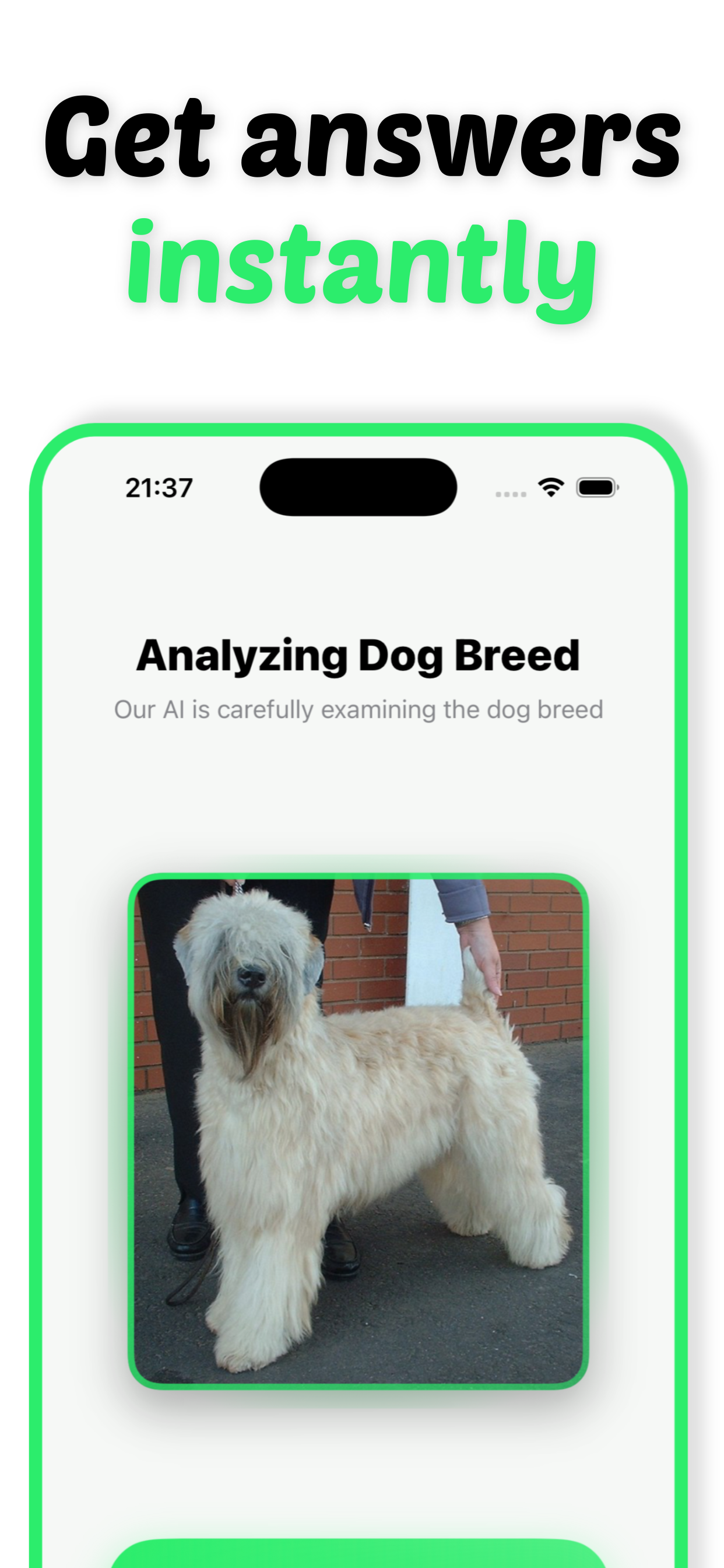 Dog Breed Identifier: Barky screenshot 6