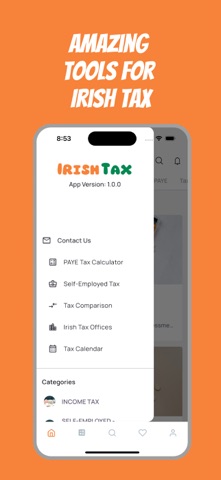 Irish Tax Calculator Ireland screenshot