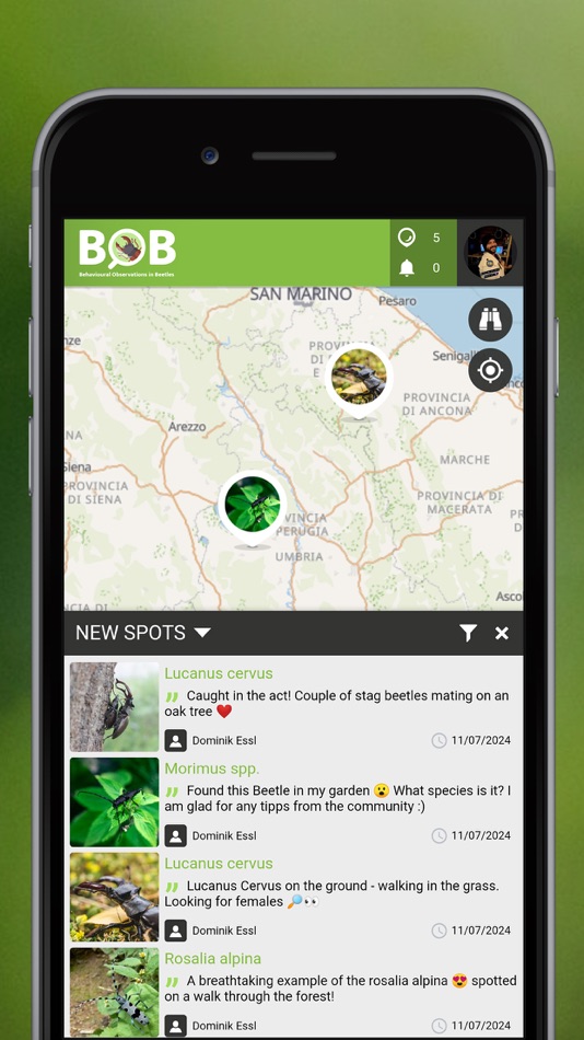 #5. BOBeetles (iOS) 由: SPOTTERON Gmbh