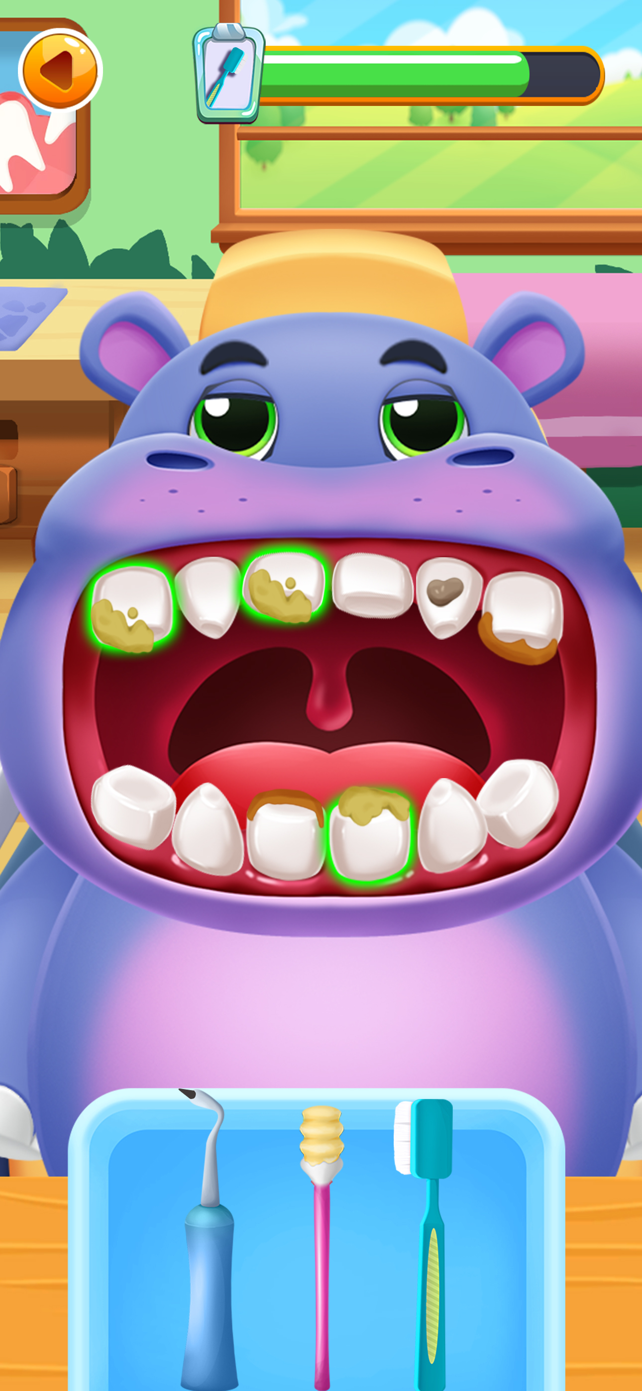 Zoo Dental Care Doctor Dentist