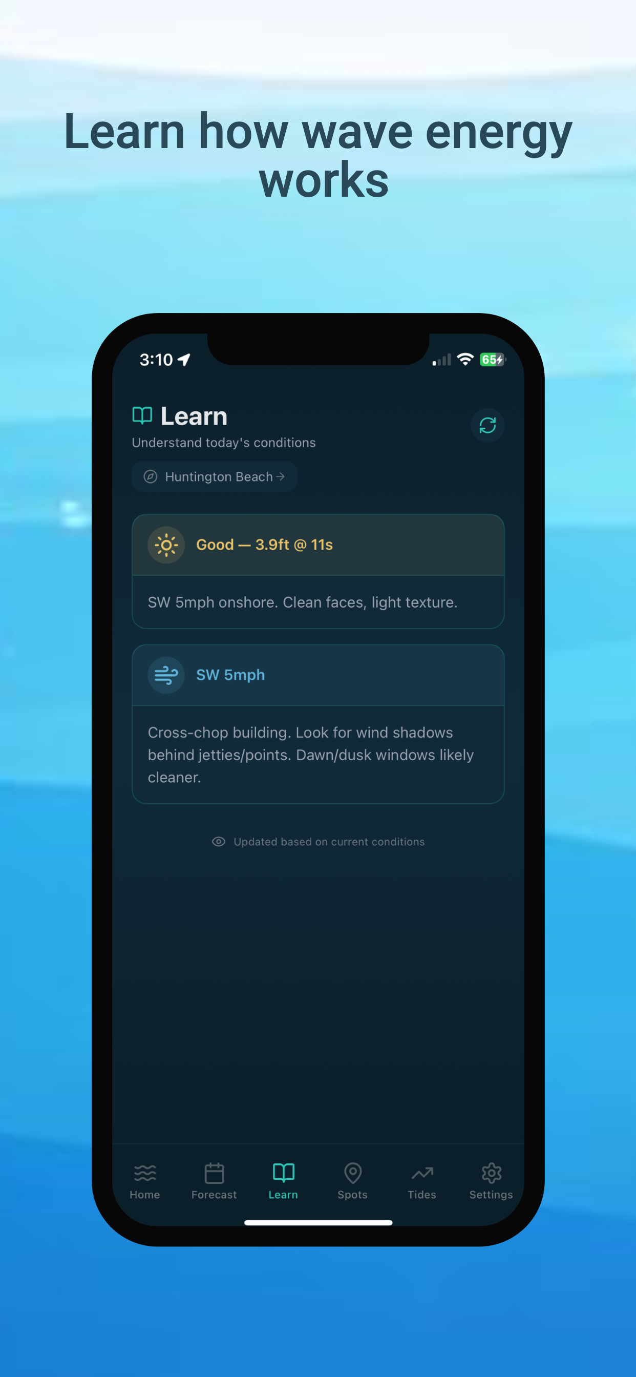 Wave Forecast screenshot 3