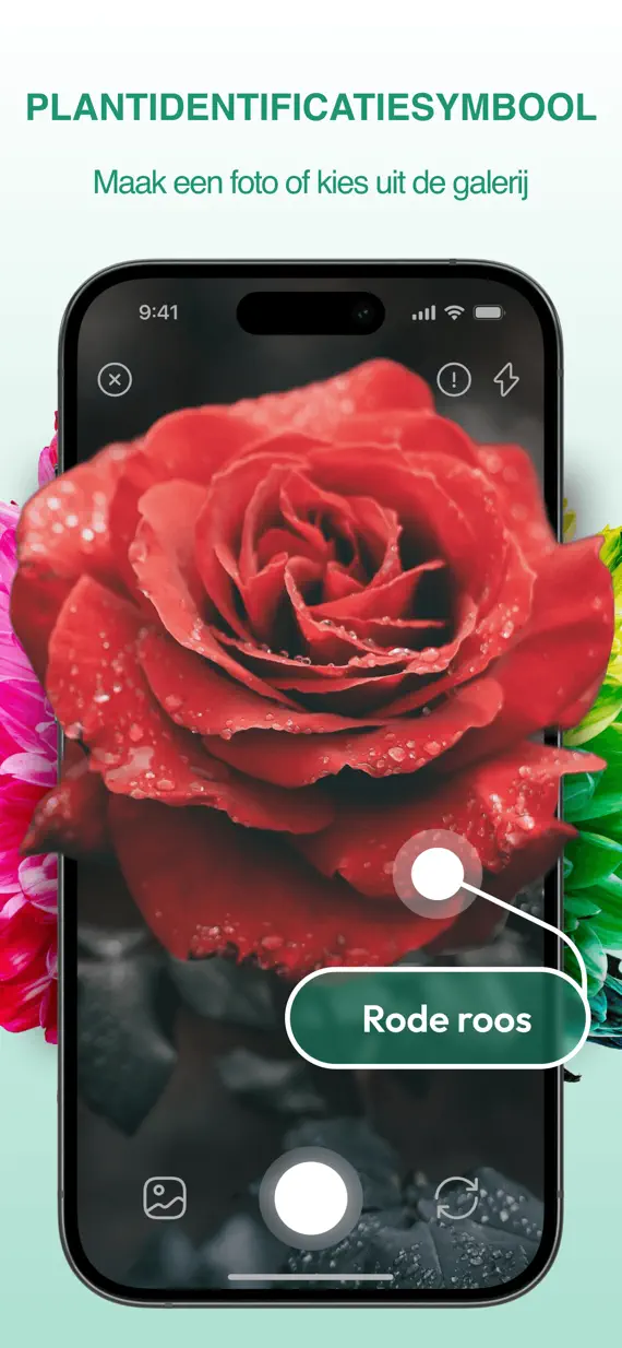 PlantExpert Leaf Identifier screenshot 1