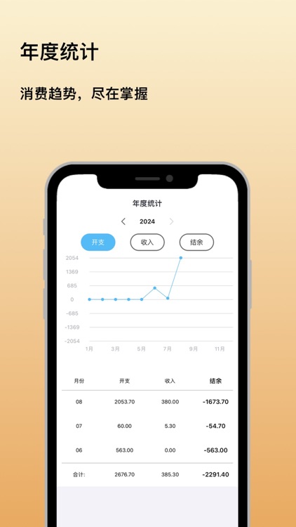多米记账