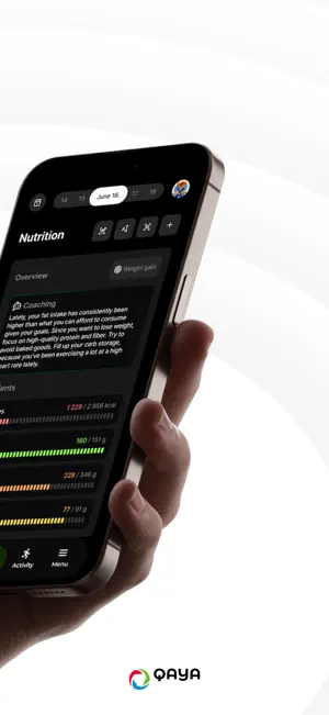 QAYA screenshot 2