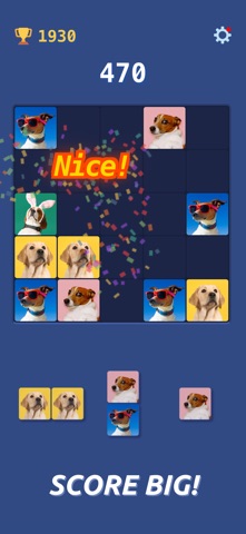 Snapmatch! Fun Puzzle Game screenshot
