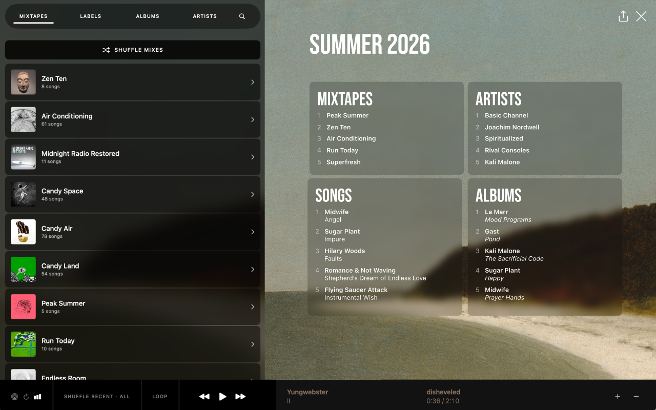 Spite Music Player screenshot 13