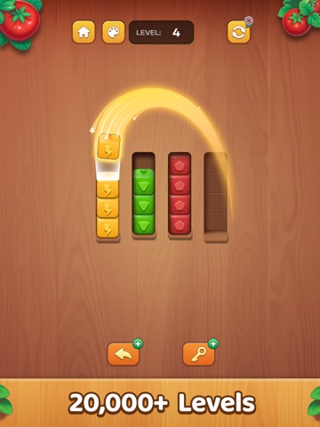 Block Sort: Color Puzzle Games iPad screenshot