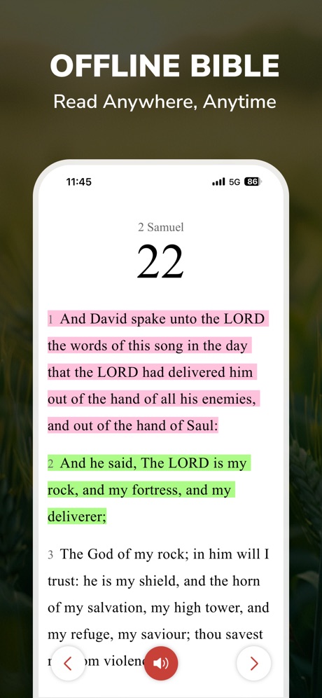 Holy Bible Faith:Verse&Audio App Store screenshot 3, headline “OFFLINE BIBLE”. Yellow.