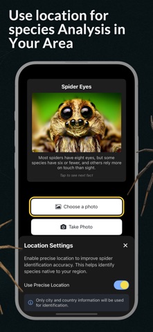 Spider Identifier Spider ID Screenshot 4 of 5
