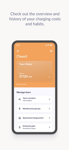 Elbil screenshot