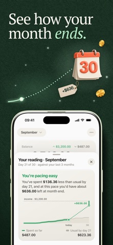 AI Expense Tracker - Papirer Screenshot 5 of 9