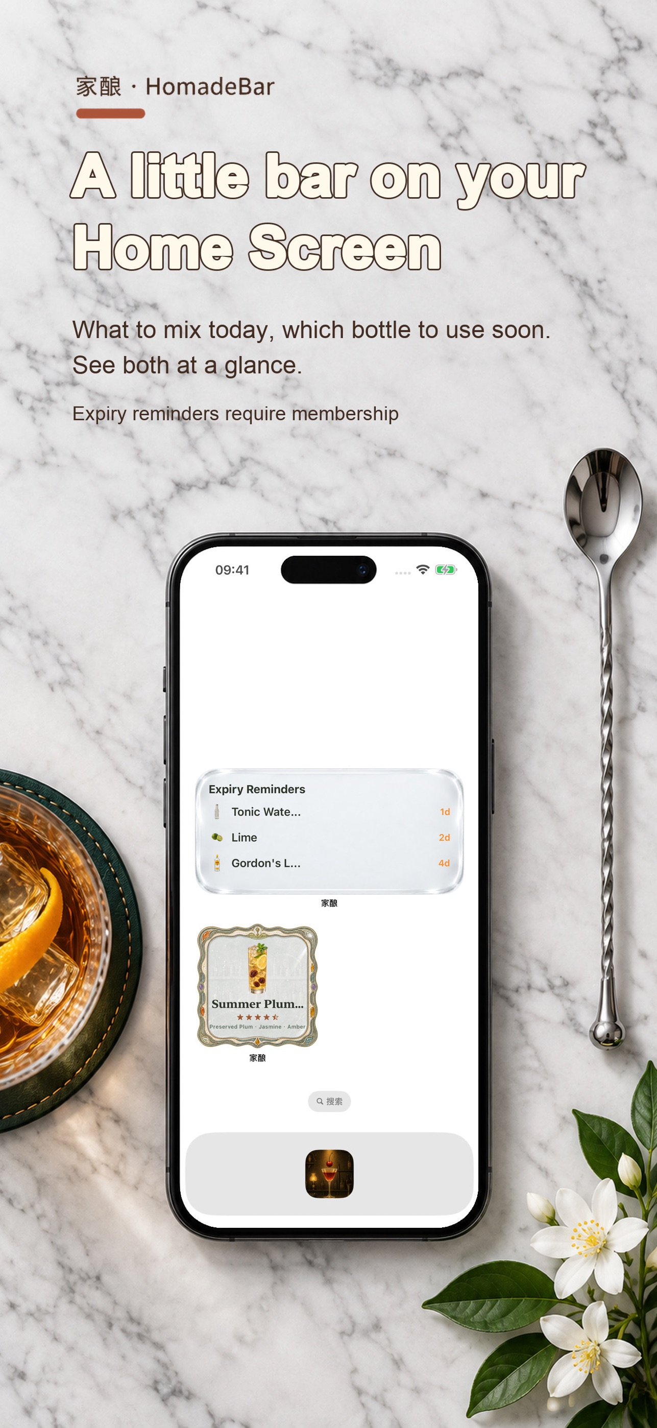 Screenshot 8 of HomadeBar