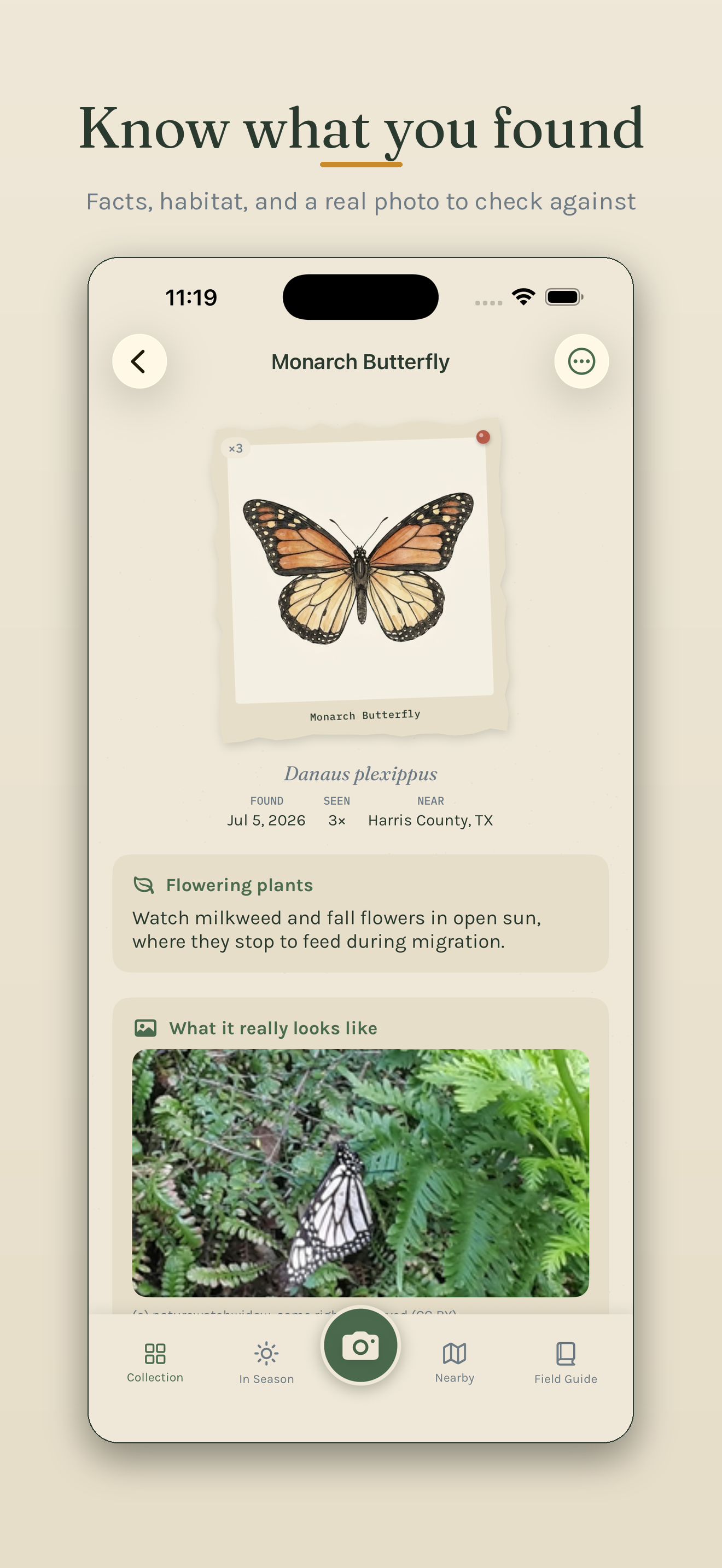 Underfoot: Bug Field Guide screenshot 5