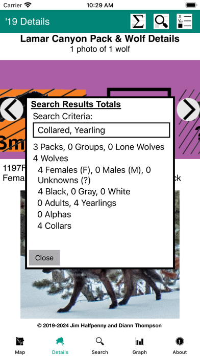 Yellowstone Wolves: The Years Screenshot