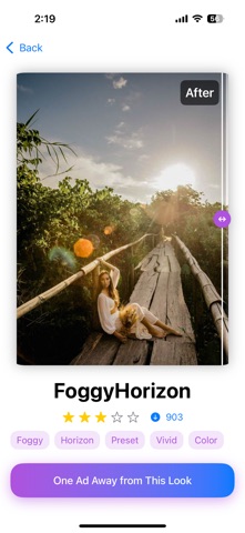 Presets for Lightroom - Vivid iPhone screenshot