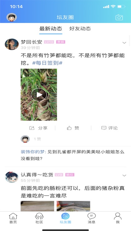 阳光论坛网