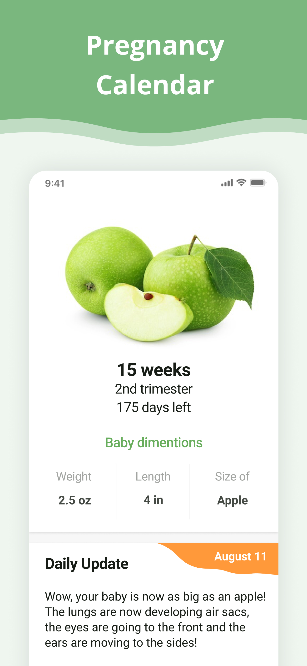 Pregnancy App.