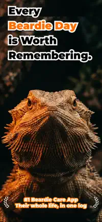 Beardie screenshot 1