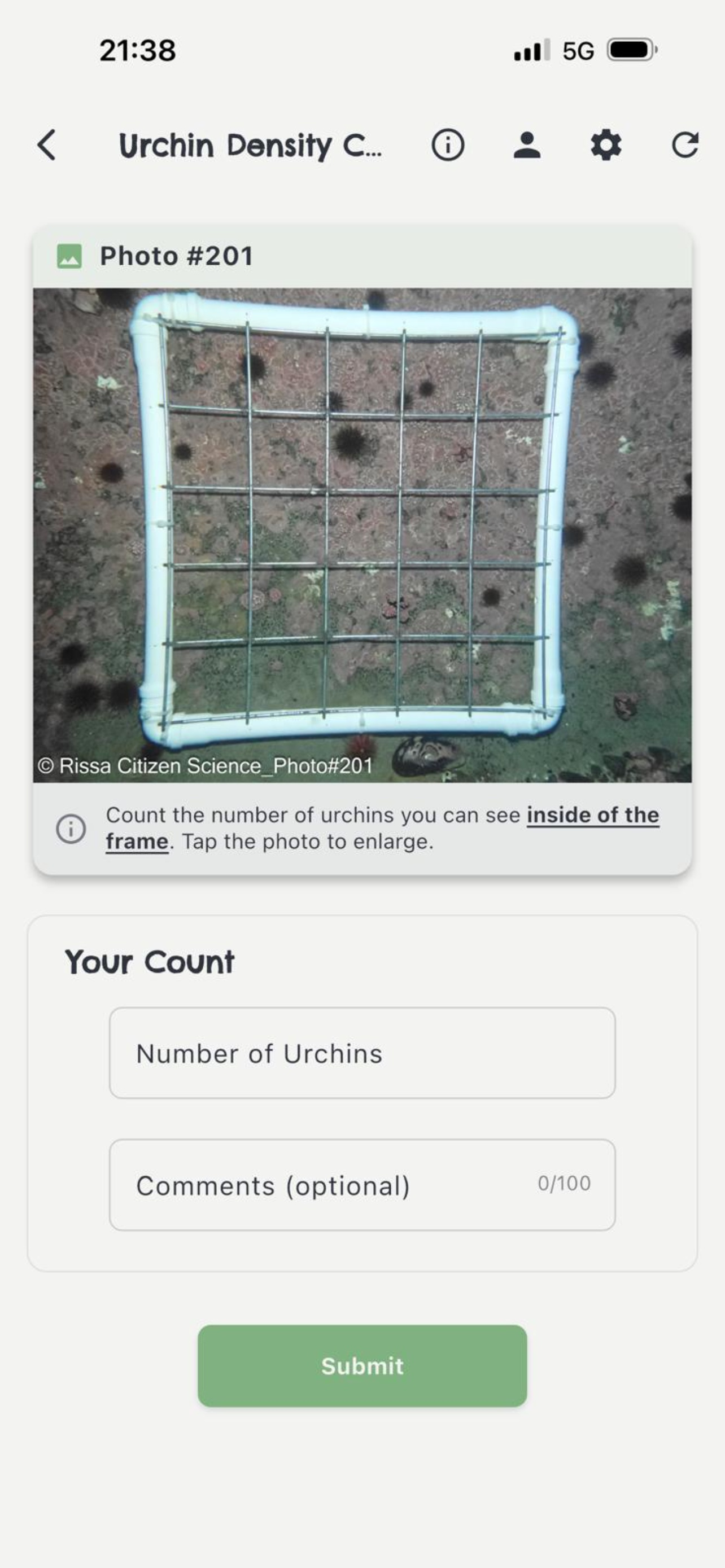 Rissa Citizen Science