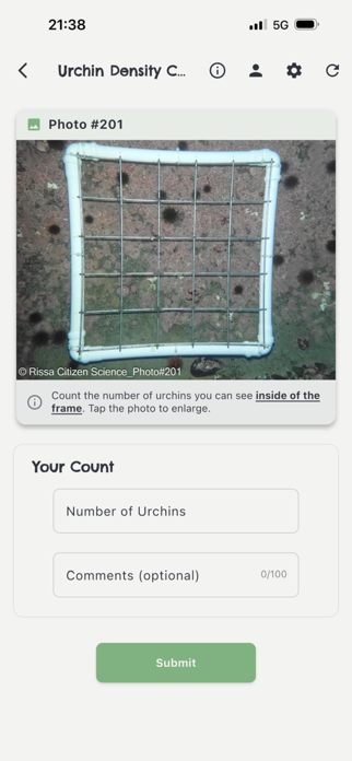 Rissa Citizen Science Screenshot 4 of 4
