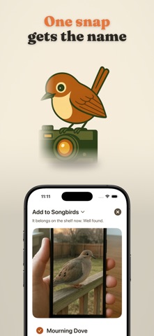 Wrenly: Bird Identifier iPhone screenshot