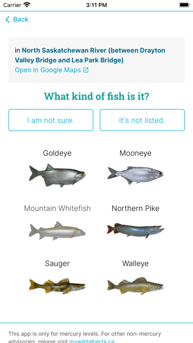 Should I Eat This Fish? Screenshot