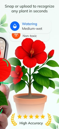 Plant Identifier: PlantFlow screenshot 2