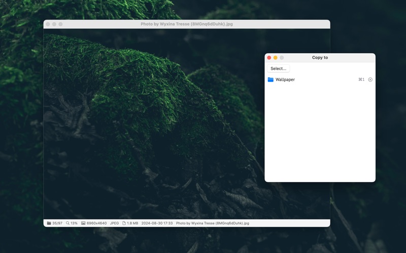 MoliView screenshot