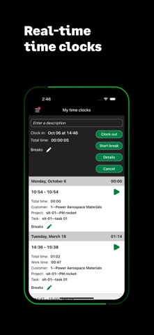 Sage Intelligent Time & Exp. Screenshot 5 of 8