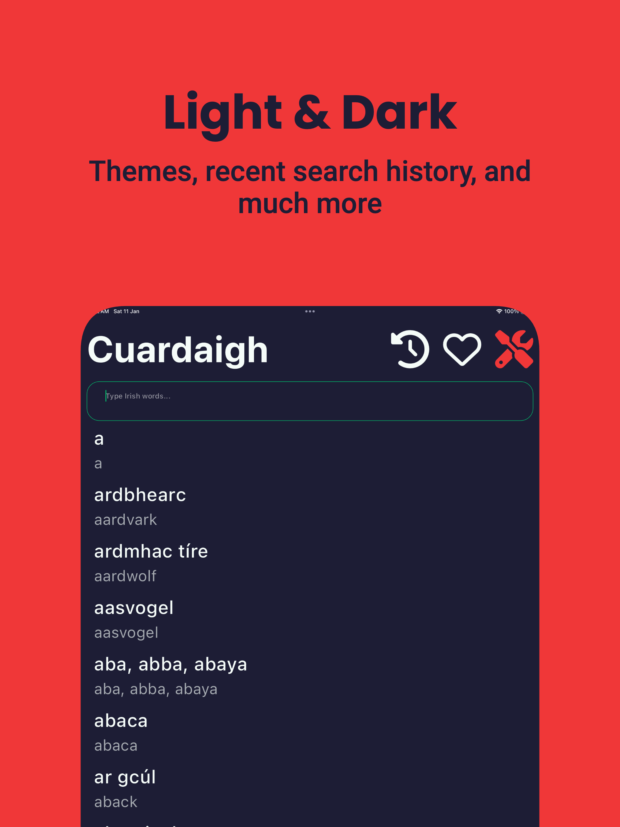 Irish Dictionary - Dict Box