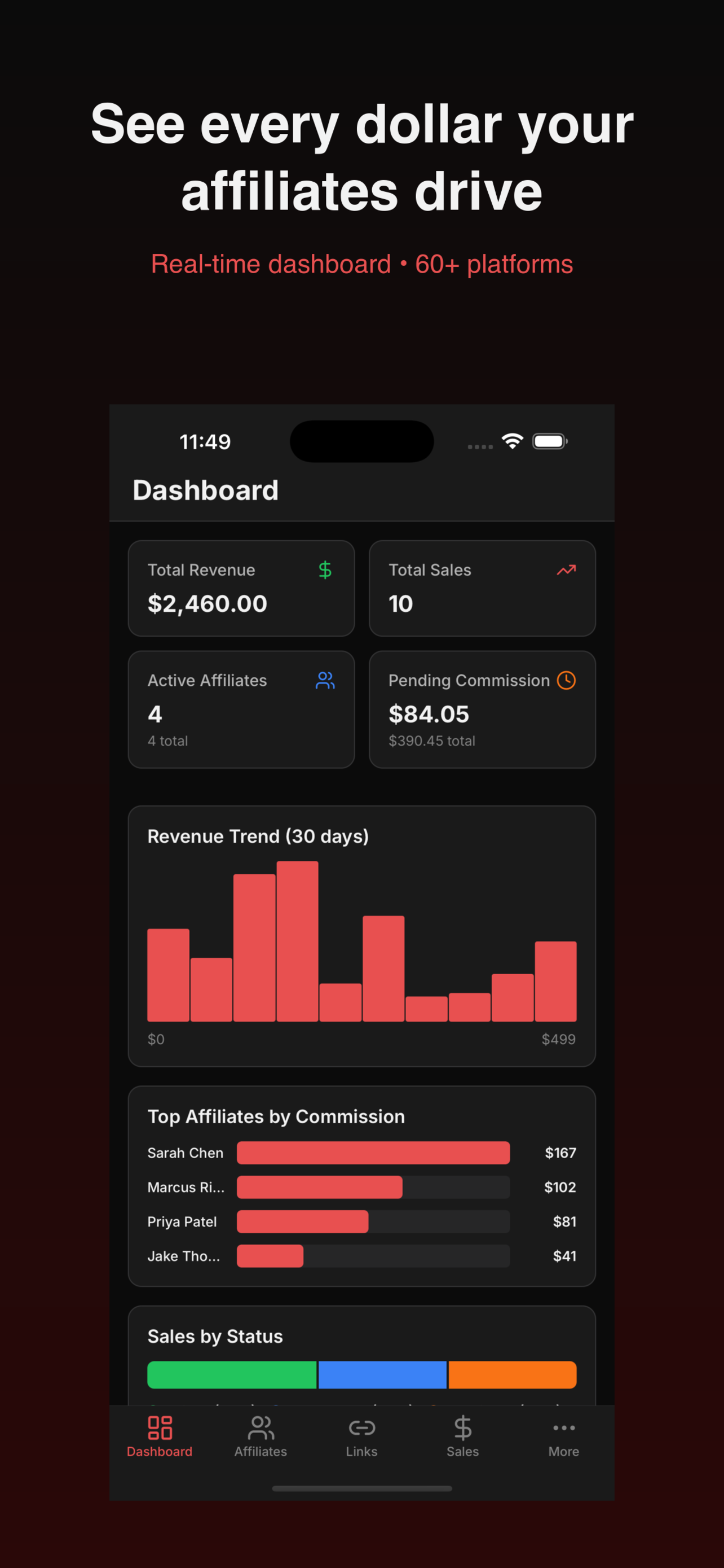 Affiliate Manager: Link & Pay screenshot 4