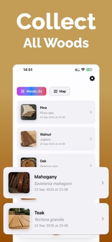 Wood Identifier: LumberID screenshot