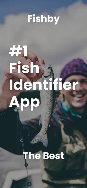 Fish Identifier - Fishby screenshot 1
