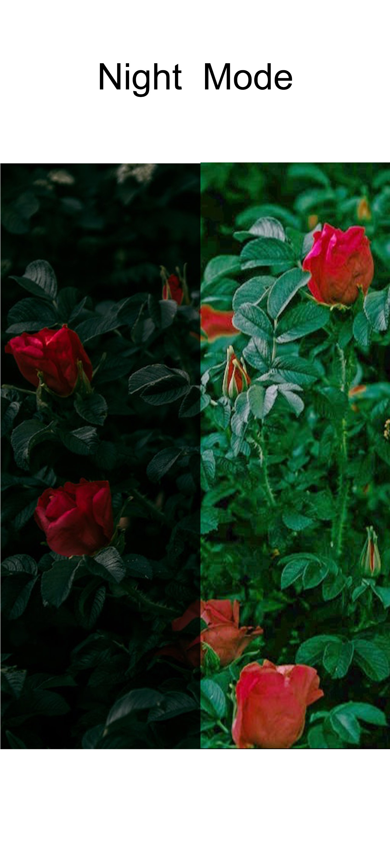 MagiCam: AI Photo Editor