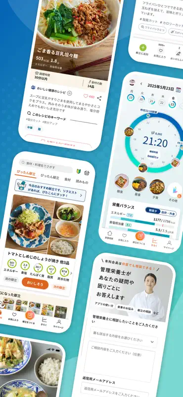 おいしい健康 献立と栄養管理 糖尿病・腎臓病・減塩など screenshot 2 of 8