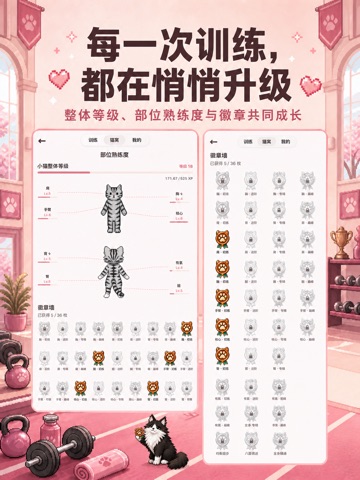 喵练：健身记录·力量训练·训练计划 iPad screenshot 2