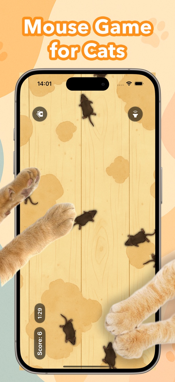 Games for Cats screenshot 4