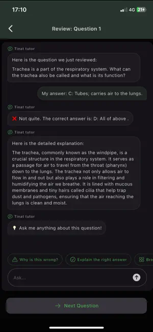 Tinat.AI screenshot 4